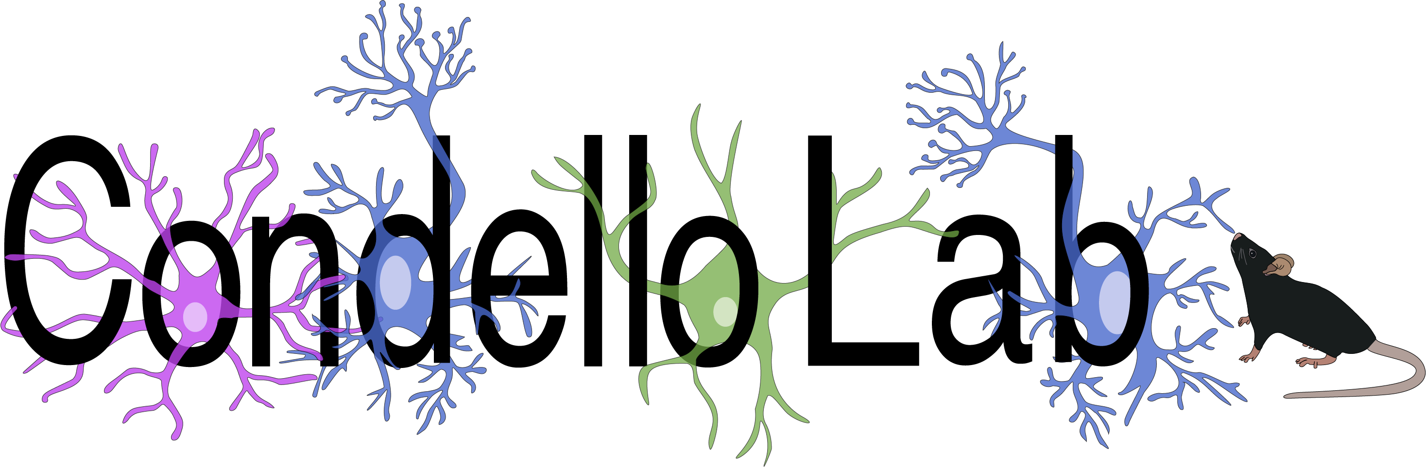 Condello Lab homepage